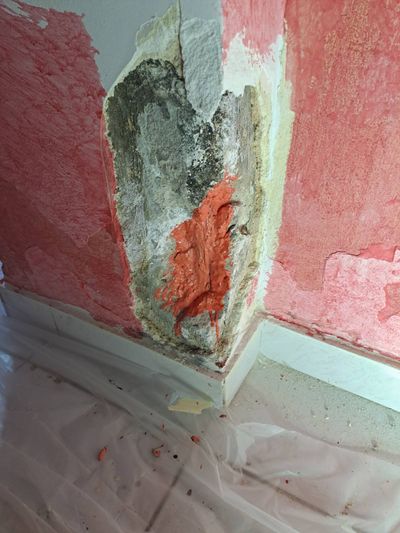 Excavated-Wall-Hidden-Moisture-Damage